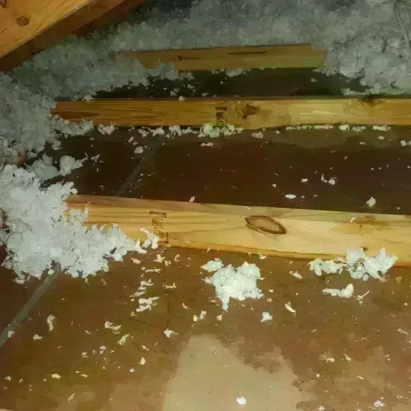 Attic Water Damage in Fair Oaks, CA